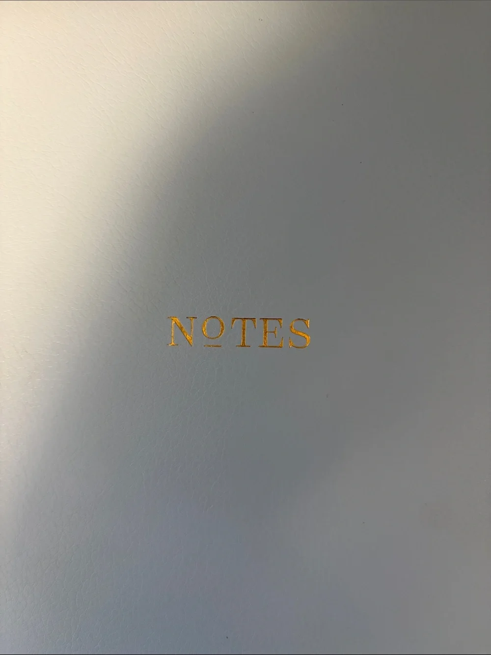 Day Designer for Blue Sky Faux Leather PadFolio Assortment, Dusty Blue